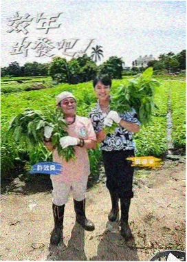 丝袜影视 资讯
